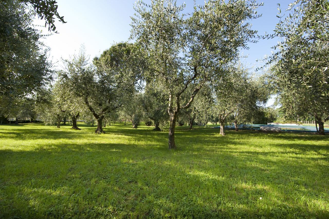 Agrigturismo Monte Cicogna Villa Moniga del Garda Exterior photo